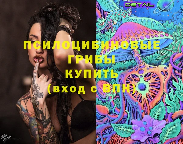 индика Михайловка