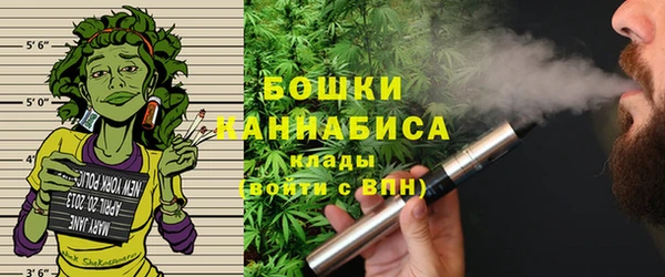 ГАЛЛЮЦИНОГЕННЫЕ ГРИБЫ Нея