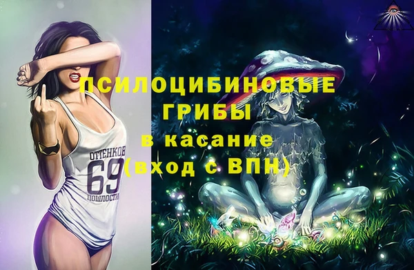 прущая мука Новозыбков