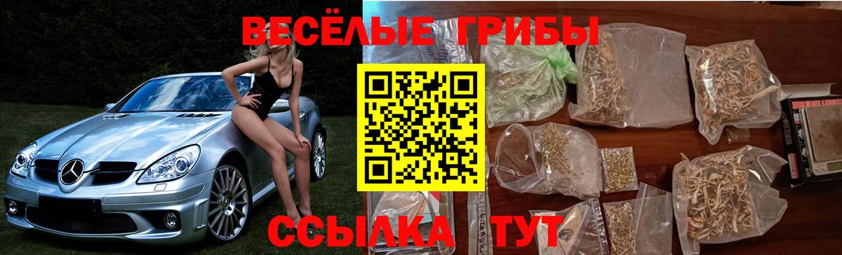 Псилоцибиновые грибы Cubensis Камышлов