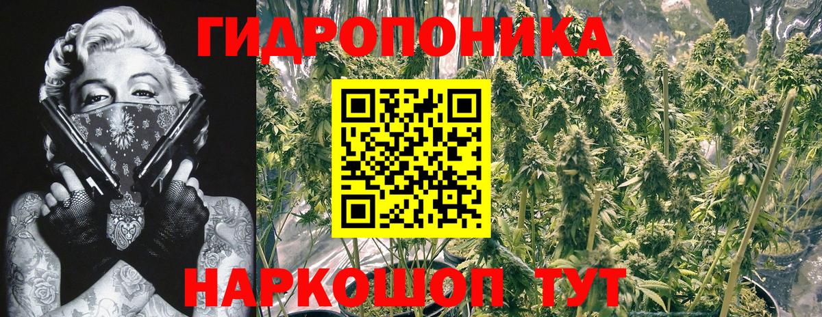 Шишки марихуана VHQ Камышлов